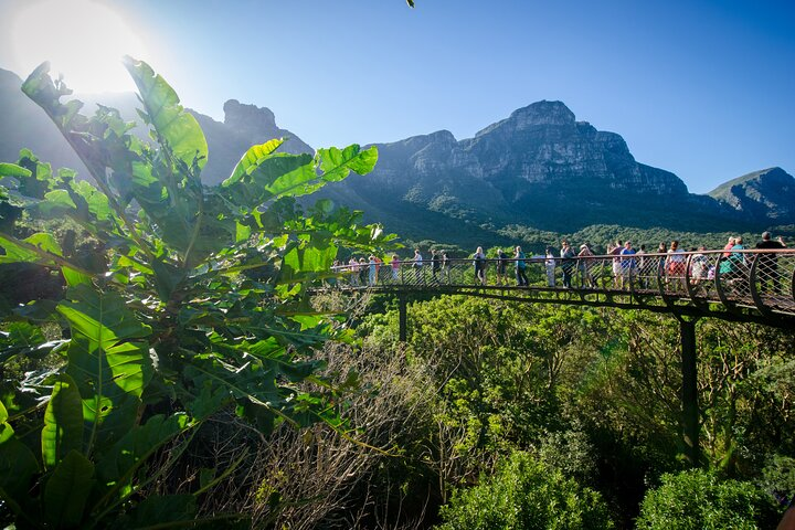 Full Day Private City & Kirstenbosch Gardens - Photo 1 of 10